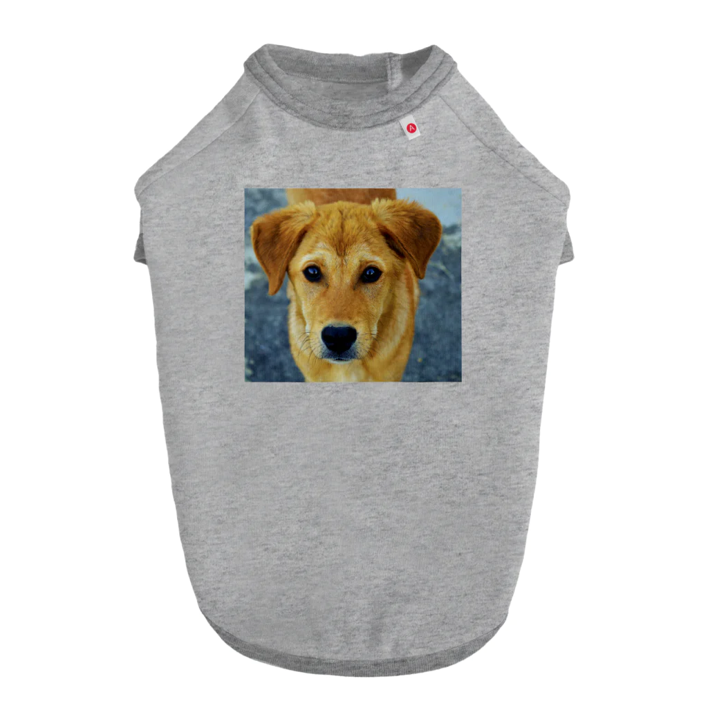 可愛い動物のラブラドールレトリーバー Dog T-shirt