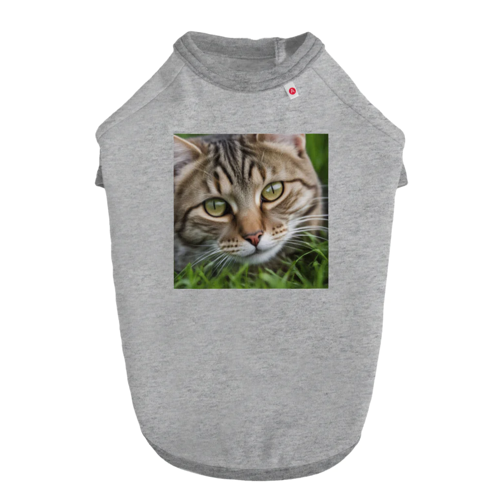 kkbaseballの草村の猫 ドッグTシャツ