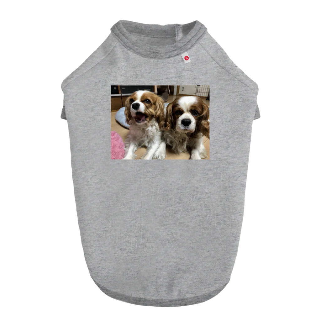 pppdatoのキャバリア　チビミニの日常 Dog T-shirt