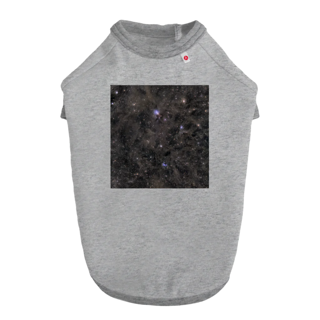 S204_NanaのNGC1333 ドッグTシャツ