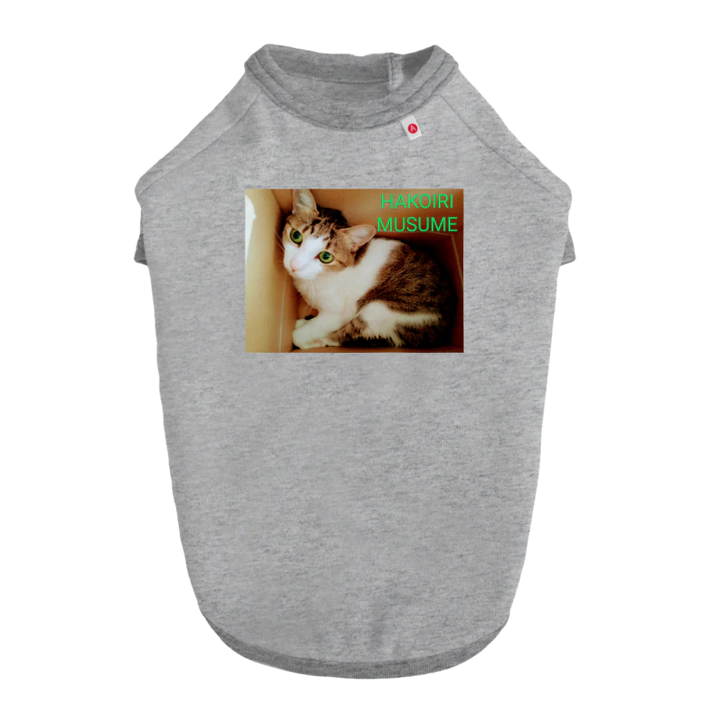 ハンドメイドSaoriのハコイリムスメ(猫) ドッグTシャツ