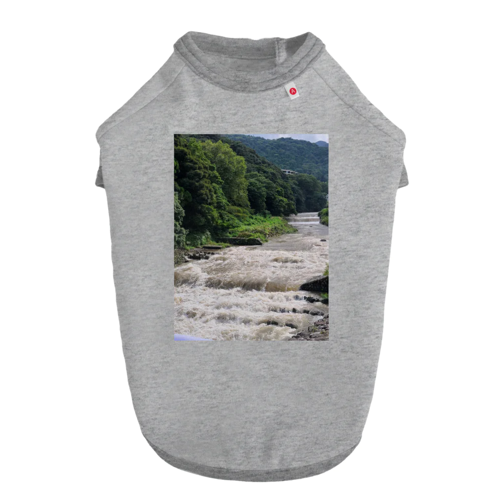 TACOIKAのHakone　RainyDay Dog T-shirt