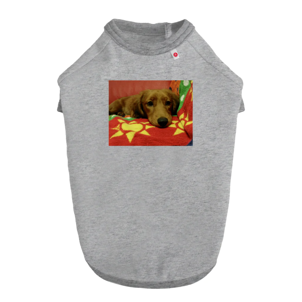 BELLFLORの花ちゃん2 Dog T-shirt