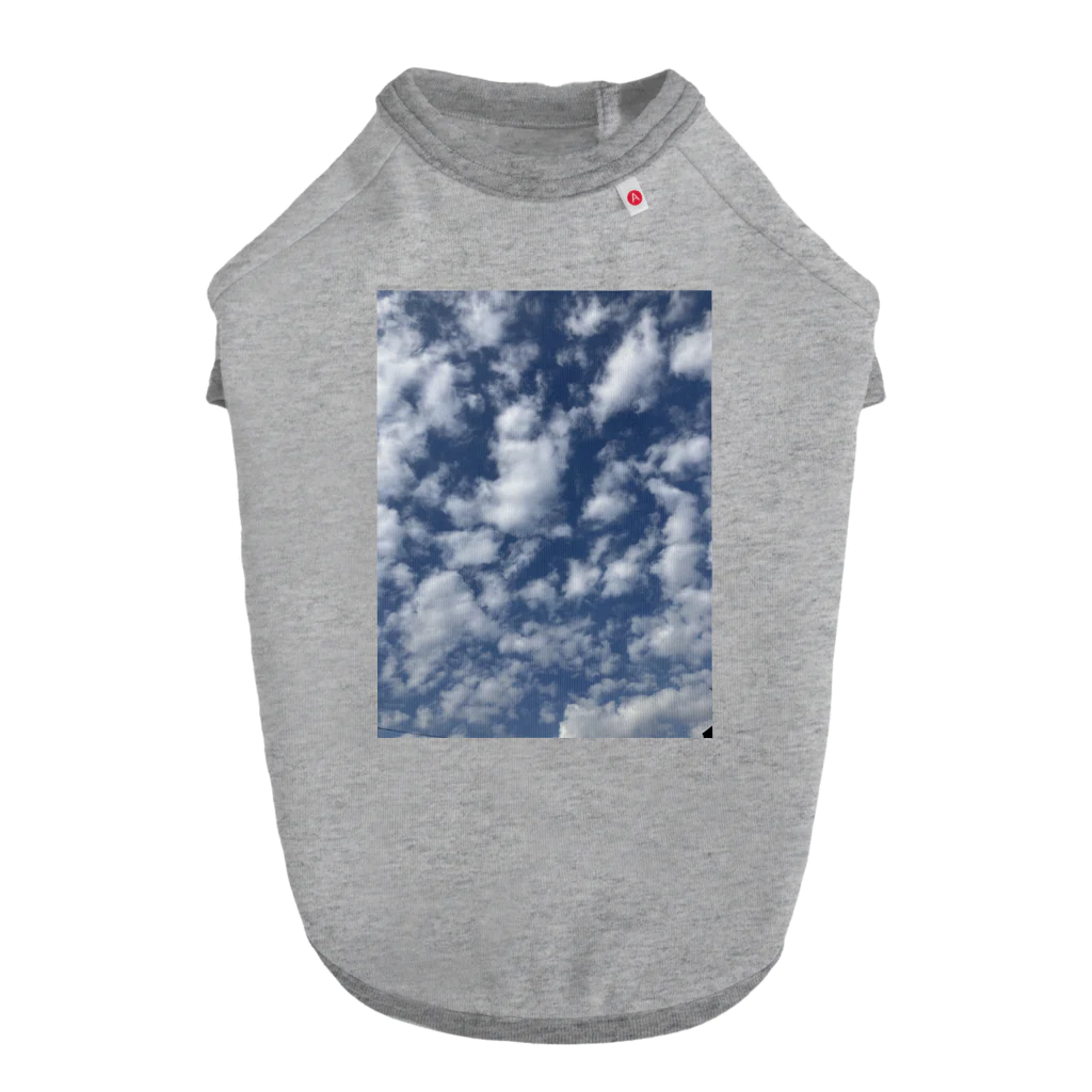 そらの4月13日の青空 ドッグTシャツ