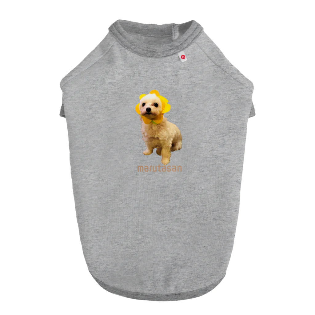 マルタ産のこゆきちのマルタ産のこゆきち Dog T-shirt