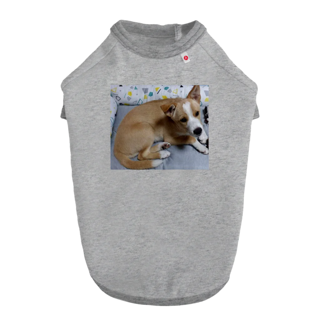 幸せいっぱいちびちゃんの我が家の可愛いちびちゃん Dog T-shirt