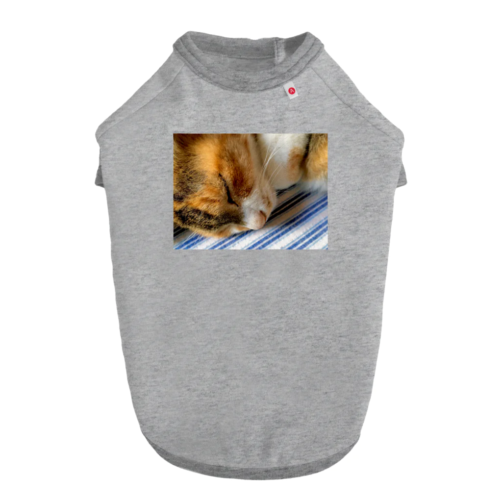 ねこちゃんが大好きなのです。の愛猫れいにゃんのグッズ Dog T-shirt