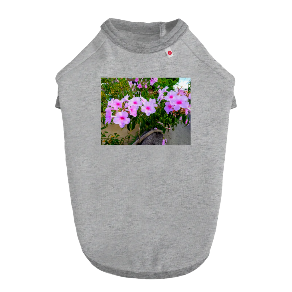 終わらない夢🌈の実写シリーズ【初夏の美しい花🌸】 Dog T-shirt