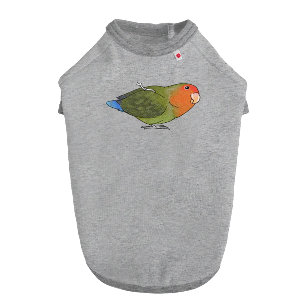 まめるりはことりのおすましコザクラインコ　きなこちゃん【まめるりはことり】 ドッグTシャツ