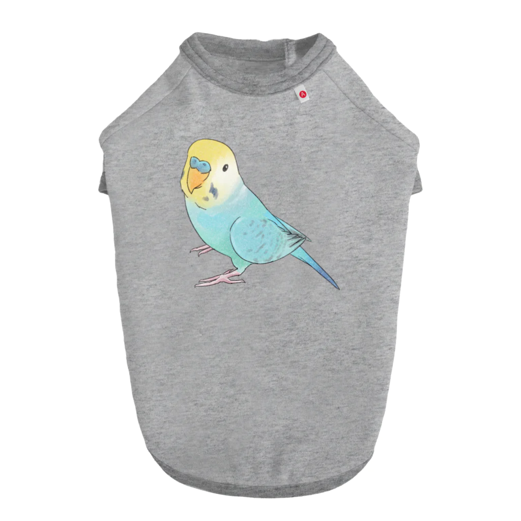 まめるりはことりの見上げるセキセイインコちゃん【まめるりはことり】 ドッグTシャツ