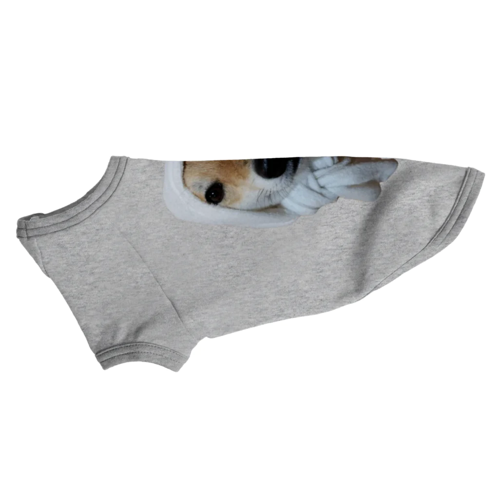 川村さん家の柴犬コロちゃんの湘南のころちゃん Dog T-shirt