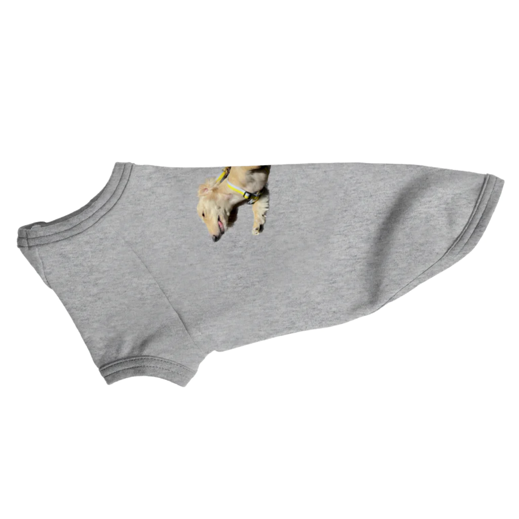 ふっくらぶんたとひよっこティプ のスーパードッグ Dog T-shirt