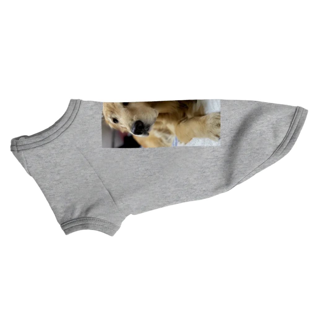 ゴールデンのまりとラブラドールのオレオに娘のあかりちゃんのまり仔猫ドック Dog T-shirt