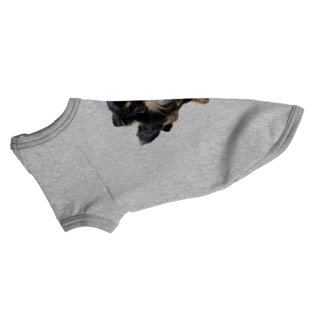 ちわわのりんちゃんのちわわのりんちゃん Dog T-shirt