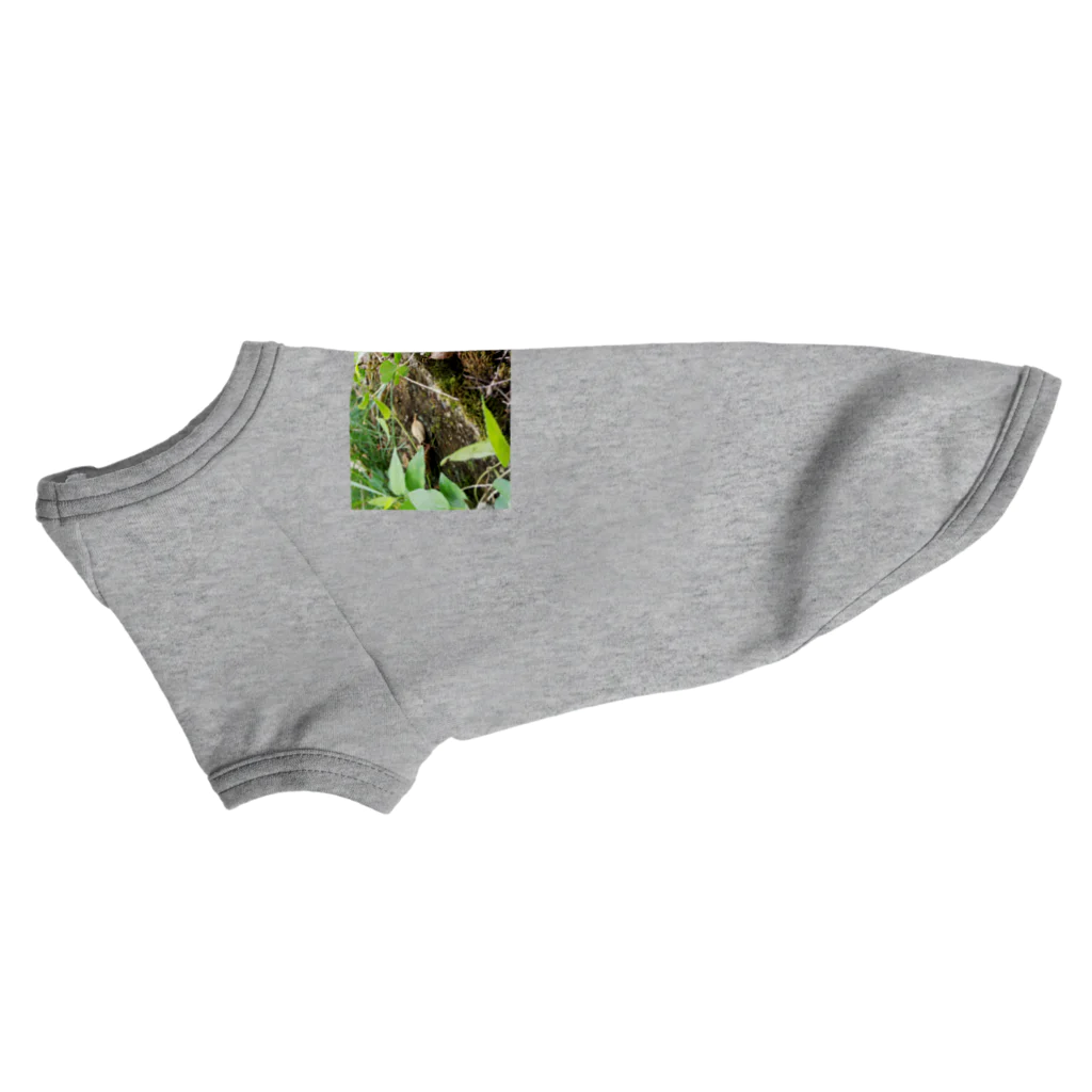 tizujonoboukenの自然豊か Dog T-shirt