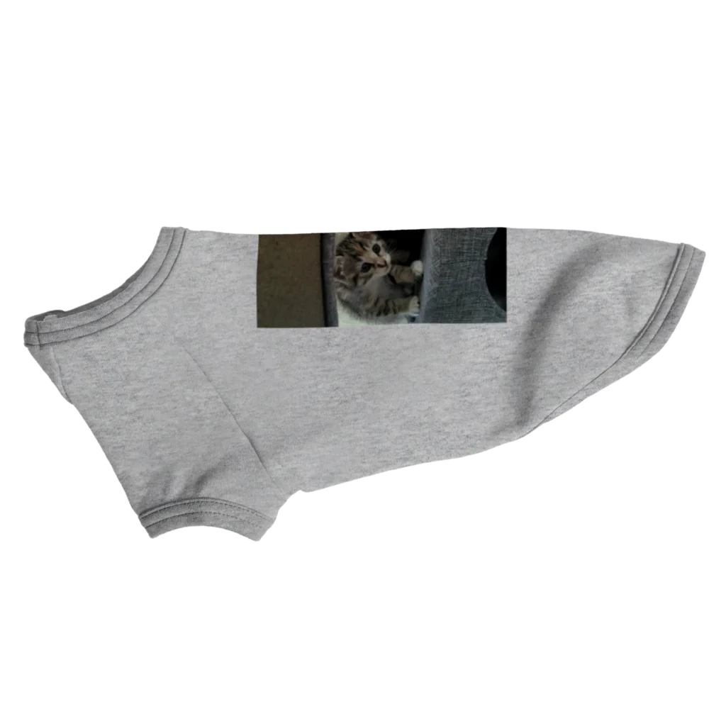 ショップyukimaroのネコちゃんたち Dog T-shirt