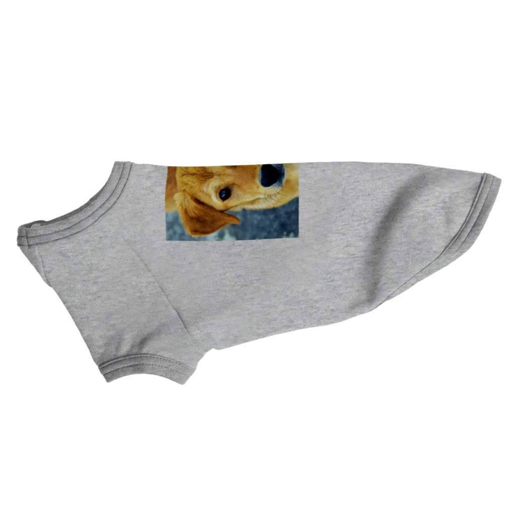 可愛い動物のラブラドールレトリーバー Dog T-shirt