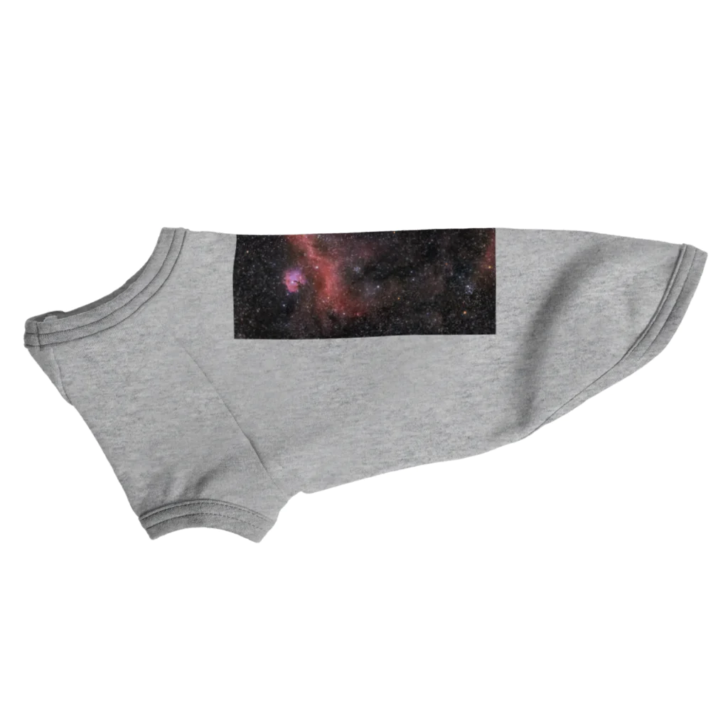 S204_Nanaのカモメ星雲 ドッグTシャツ