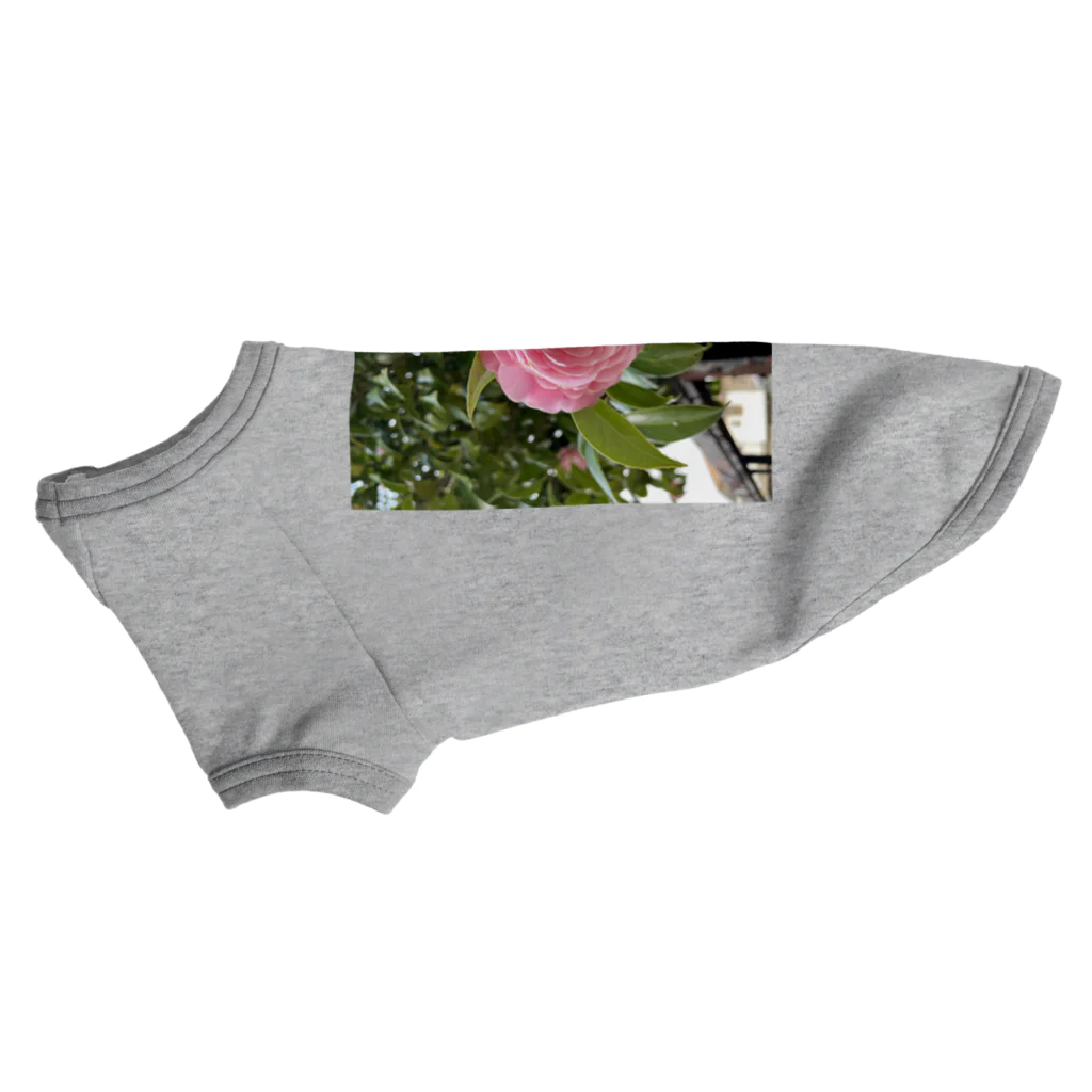 AQUAMETAVERSEの花ブローチ アメジスト2846 Dog T-shirt