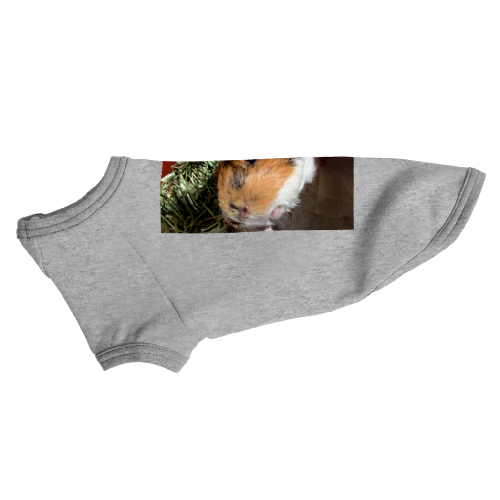 pega kurubonのモルモットのもっちー Dog T-shirt