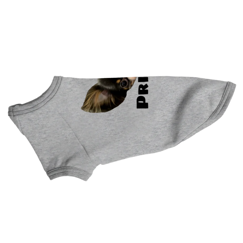 チワワのOWTANのPRINCE  チワワ　ホワイト Dog T-shirt