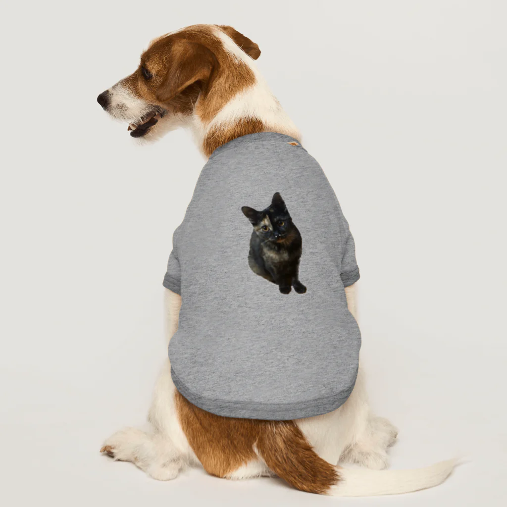 猫のひとりごとのサビ猫くう ドッグTシャツ