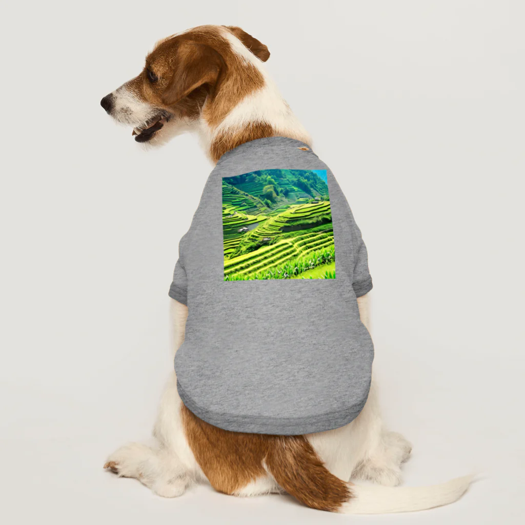 dolphineの日本の原風景　棚田 Dog T-shirt