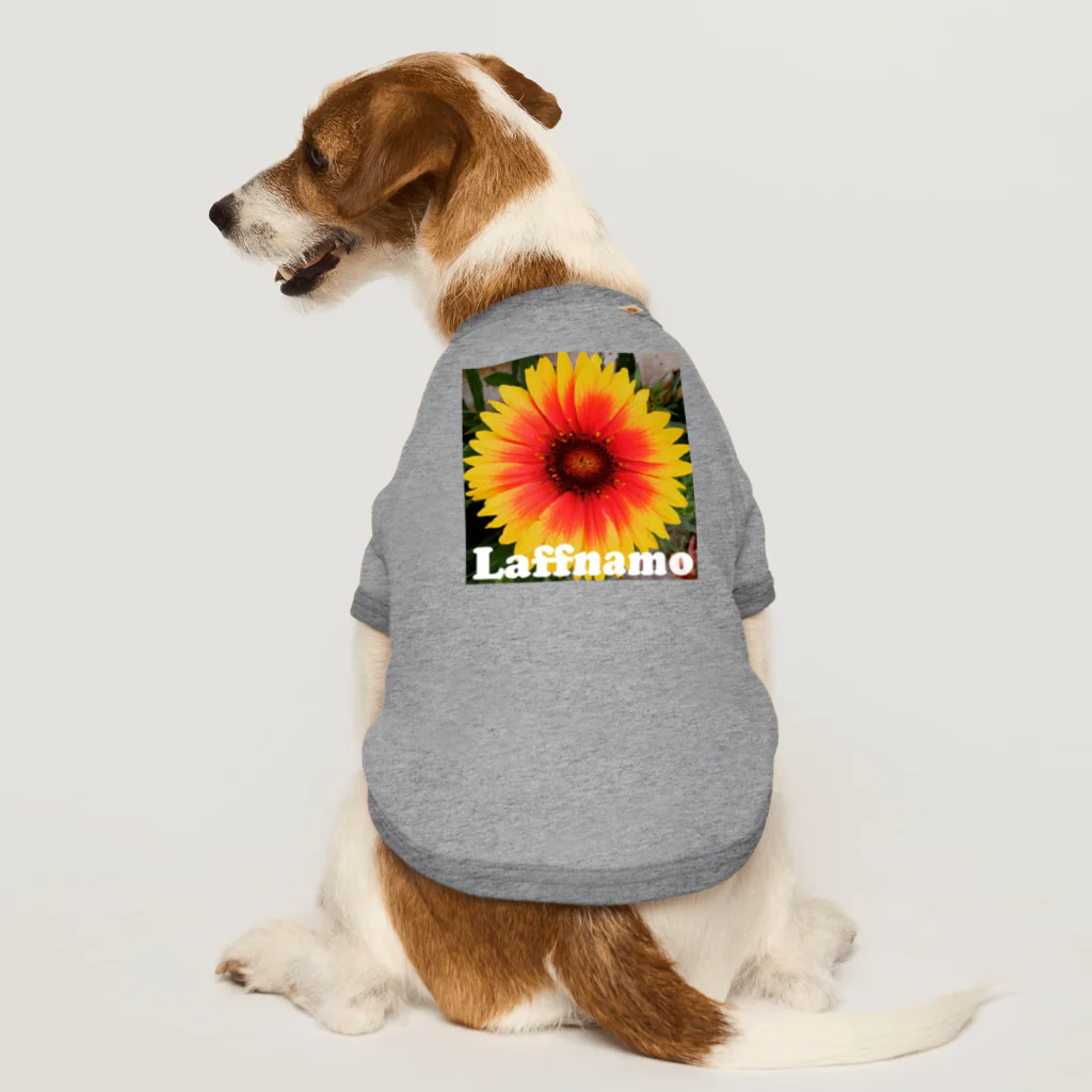 Laffnamo ラフなモーションのフラワー イエローオレンジ Dog T-shirt