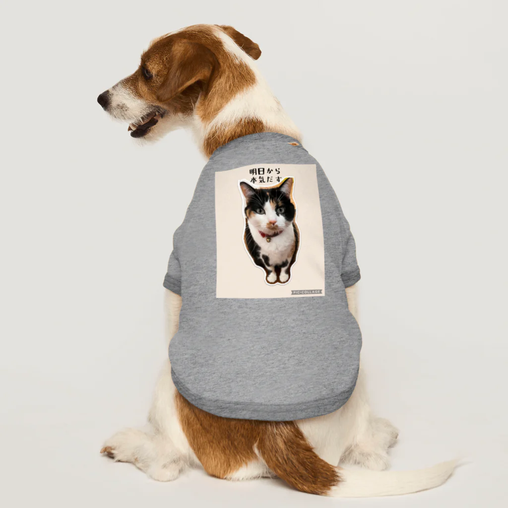 じろきちels-02cの三毛猫なっちゃん、 Dog T-shirt