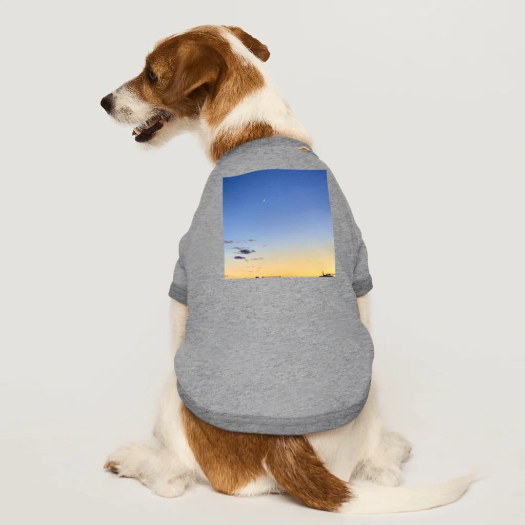 アライソイッチョウのブルーオレンジ Dog T-shirt