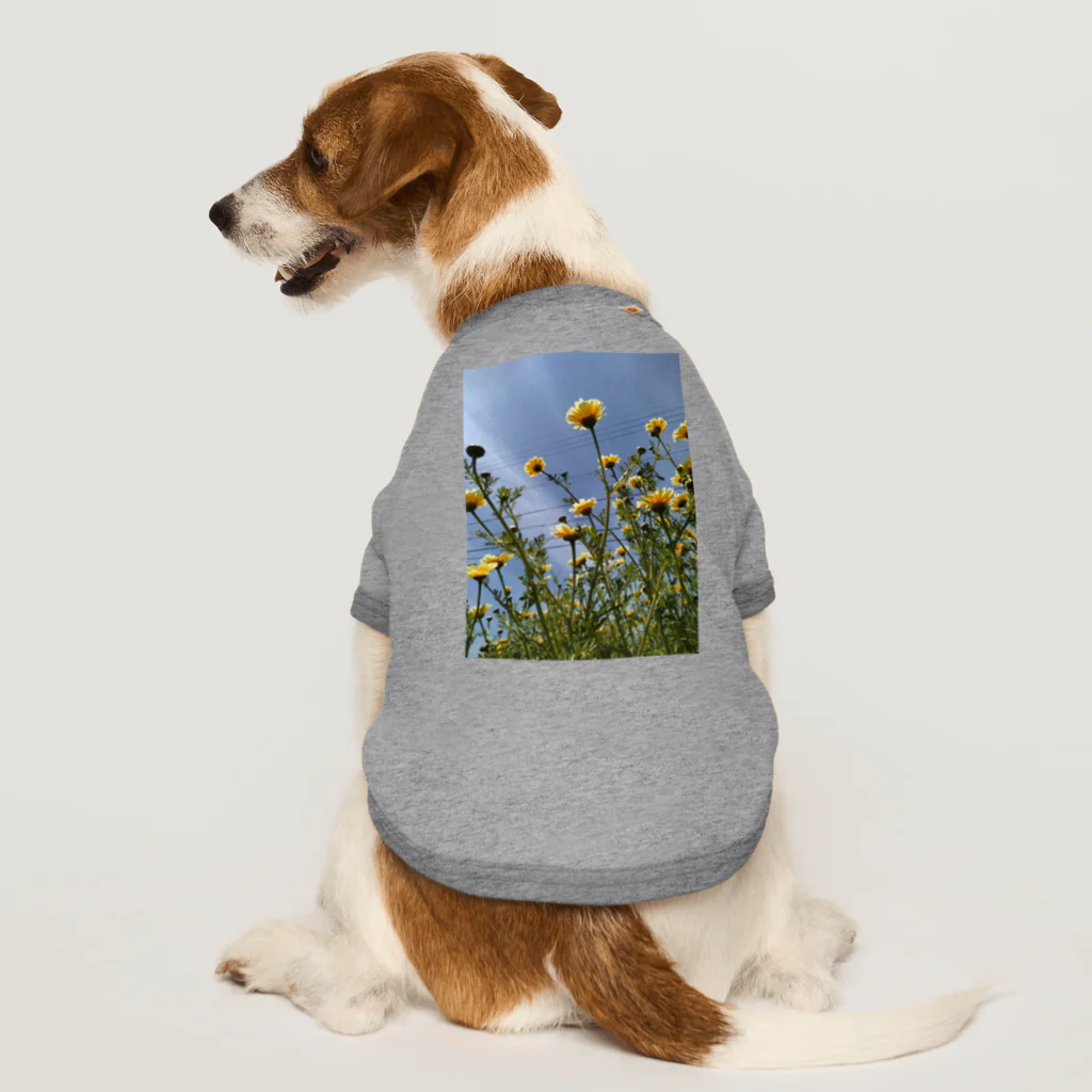 MMの黄色い春菊の花 Dog T-shirt