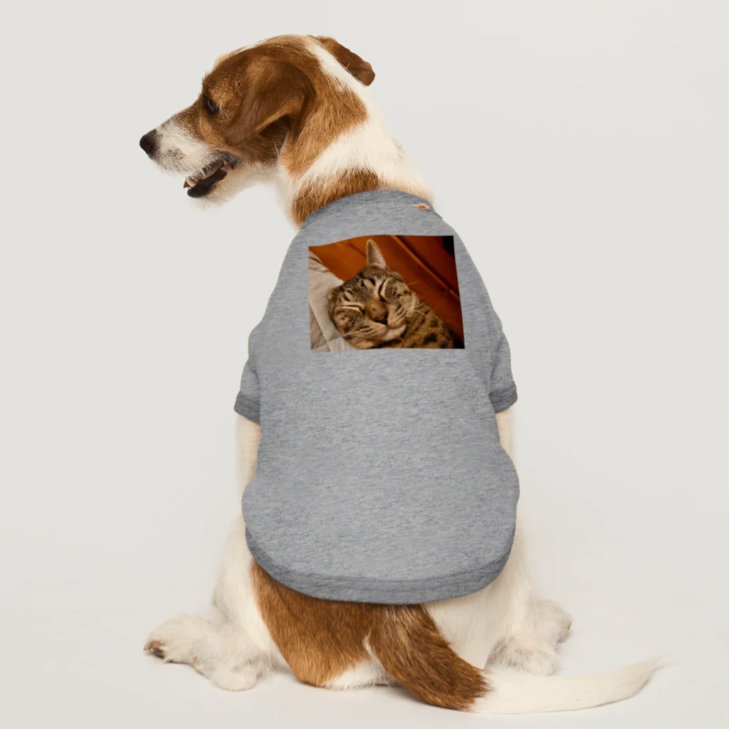 猫、かわいい系ショップの寝ているにゃんこの写真 Dog T-shirt