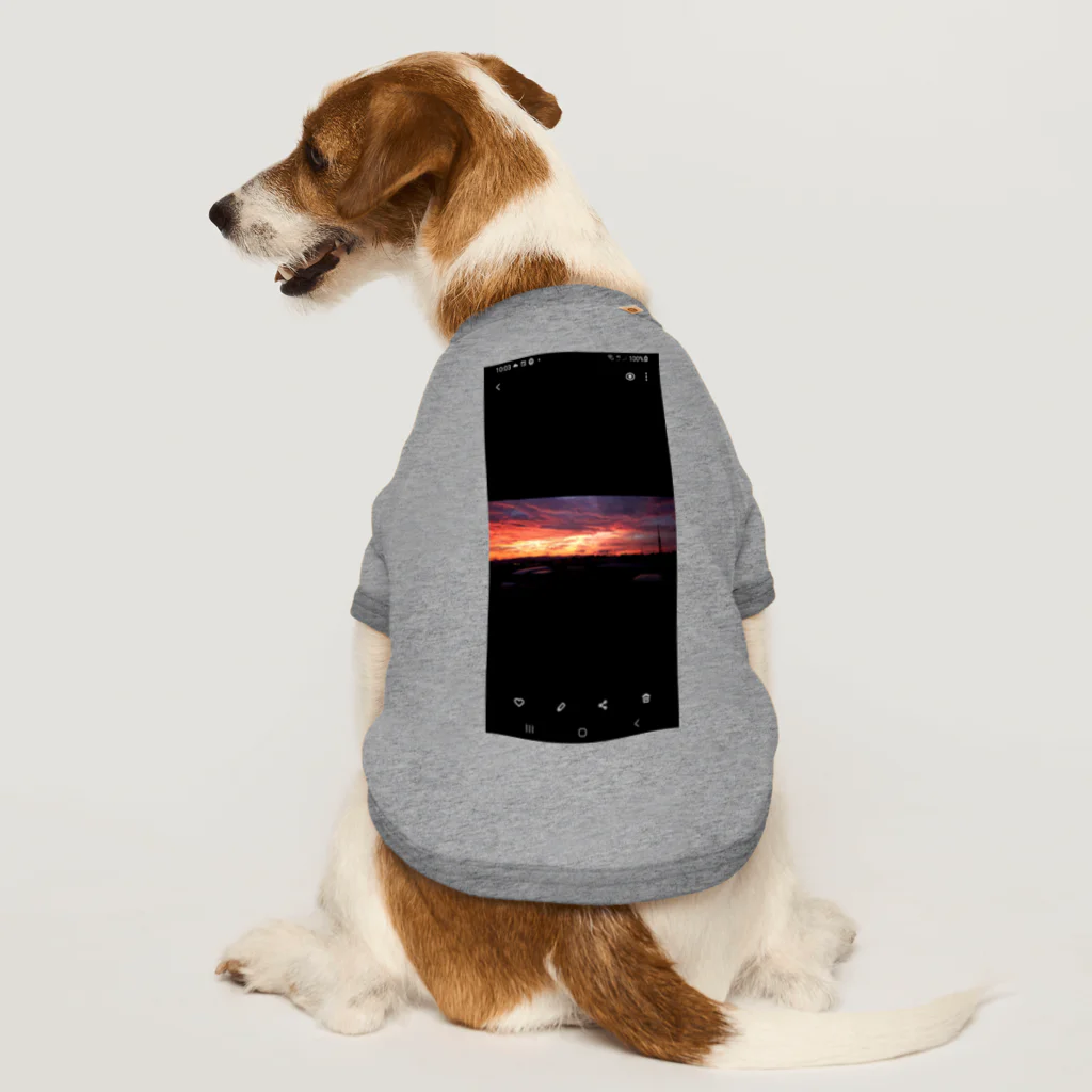 LA-VOLPEのLANOTTE Dog T-shirt