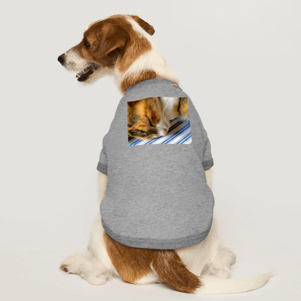 ねこちゃんが大好きなのです。の愛猫れいにゃんのグッズ Dog T-shirt