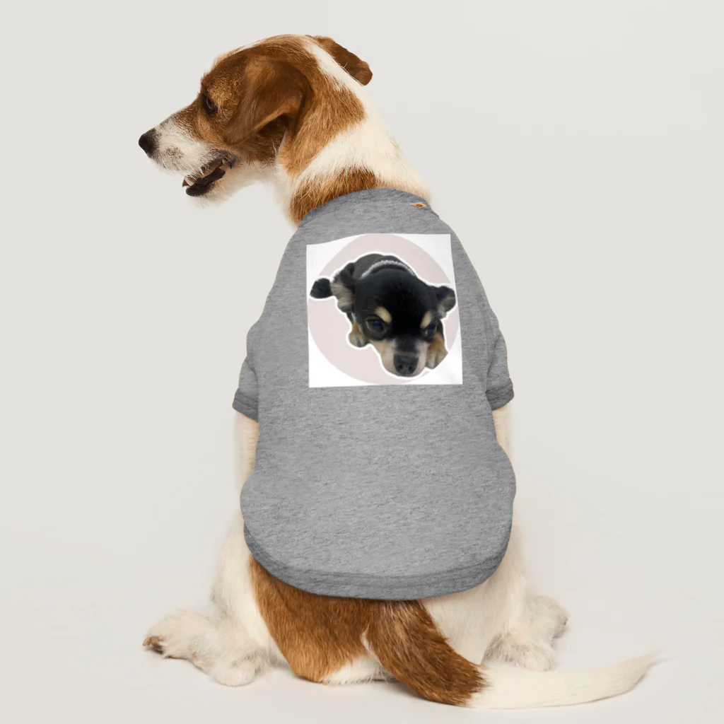 今野祐介のチワワのライムちゃん Dog T-shirt