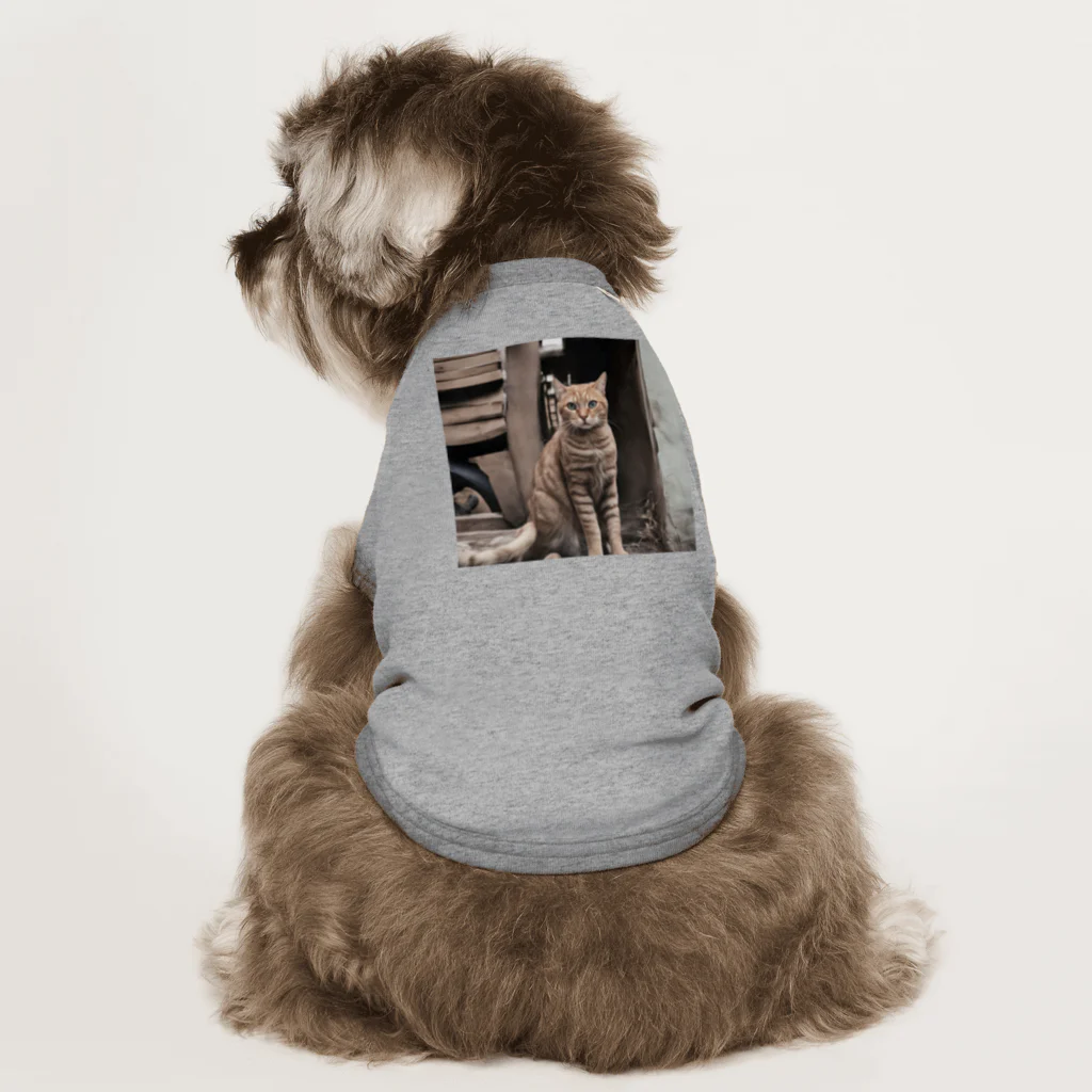 TAIYO 猫好きの美猫フォト Dog T-shirt