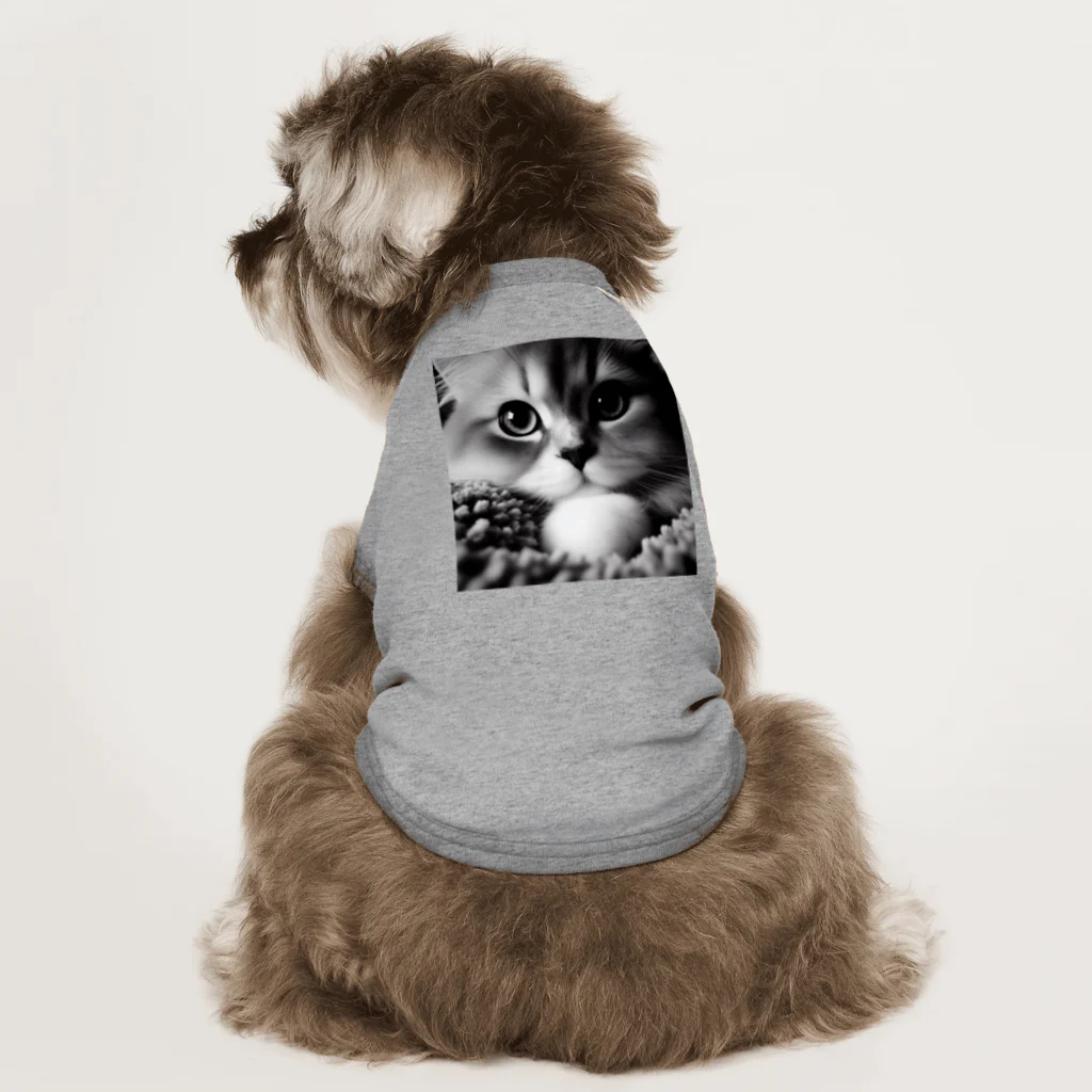 B&I の猫の眼差し ドッグTシャツ