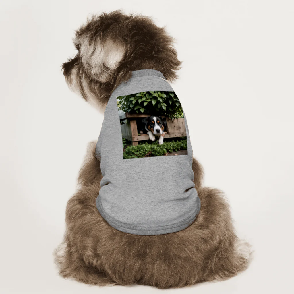 kokin0の箱の中から覗く犬 dog looking in the box Dog T-shirt