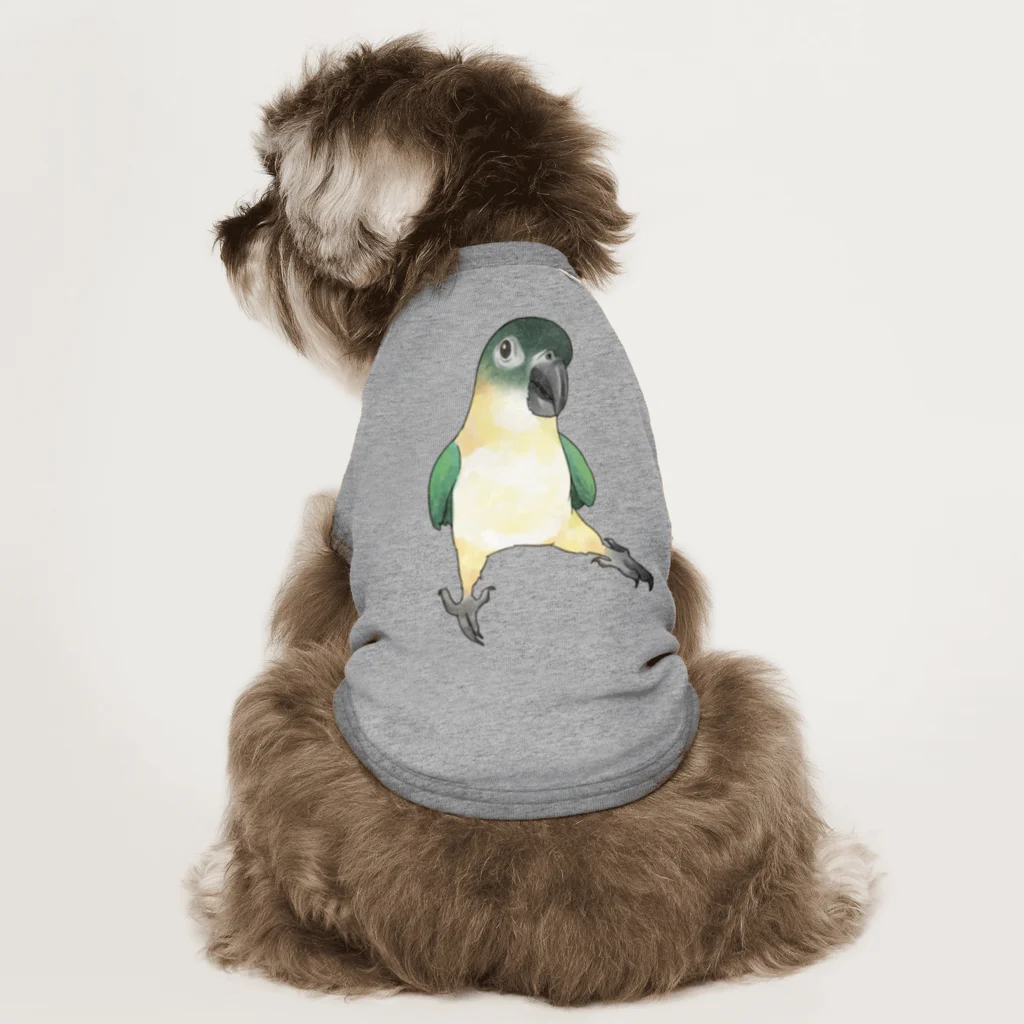 まめるりはことりのご機嫌なズグロシロハラインコのカイ君【まめるりはことり】 ドッグTシャツ