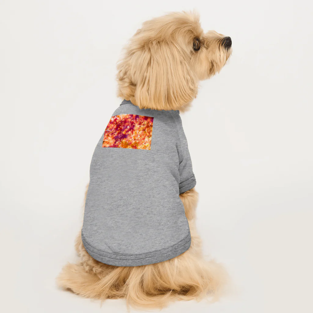 最終進化的量産型良のオレンジノコウヨウ Dog T-shirt