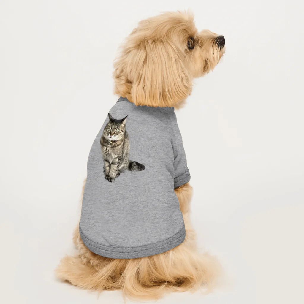 隠れ家オムネコのキメ猫 ドッグTシャツ