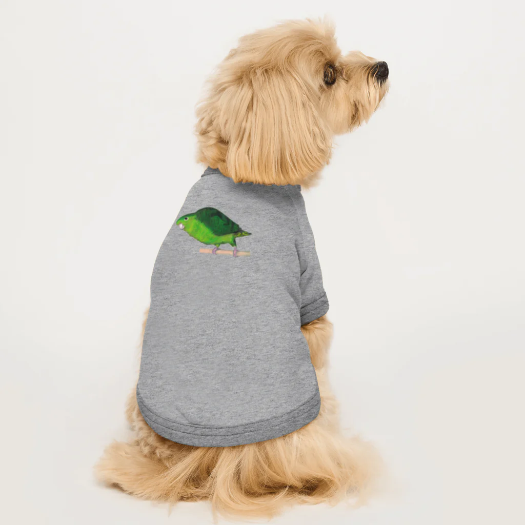 森図鑑の[森図鑑] サザナミインコ緑色 Dog T-shirt