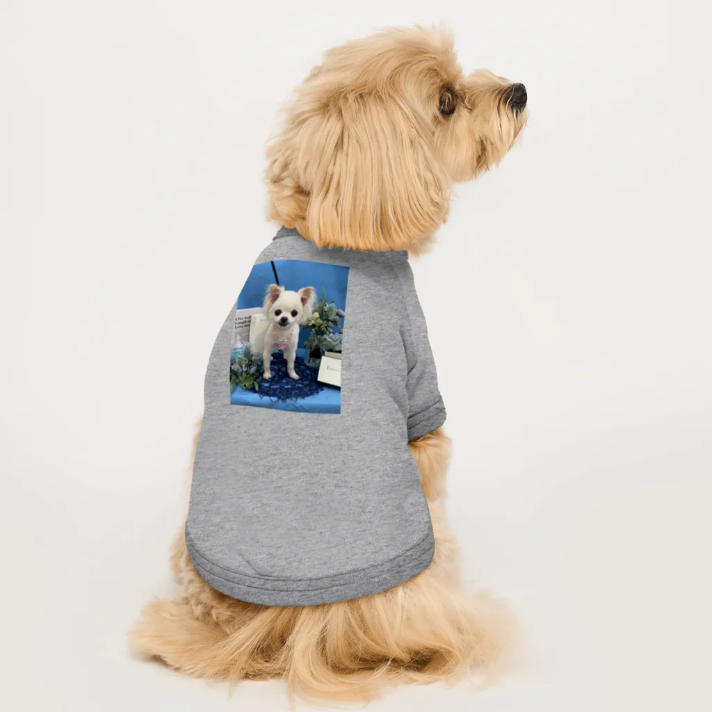 ももまゆ雑貨店のプル「EarlySummer」 Dog T-shirt