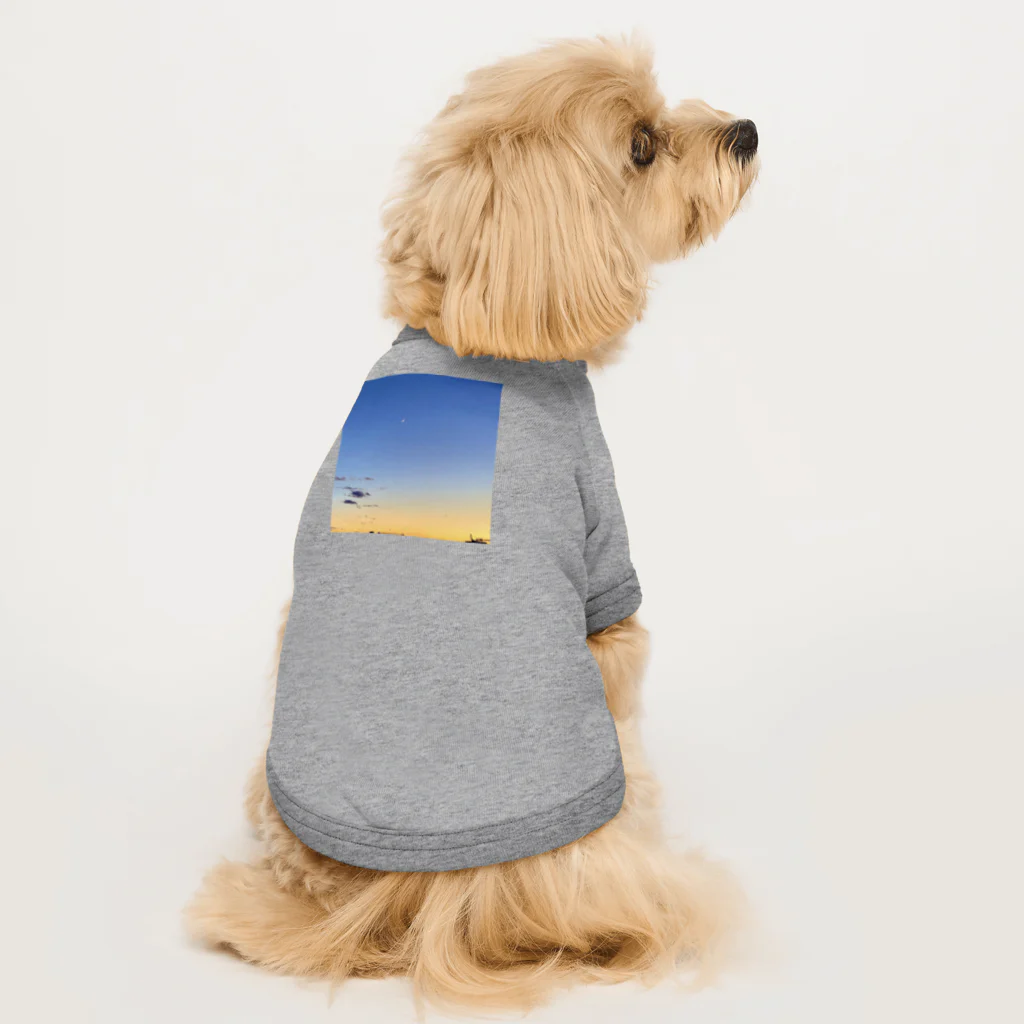 アライソイッチョウのブルーオレンジ Dog T-shirt