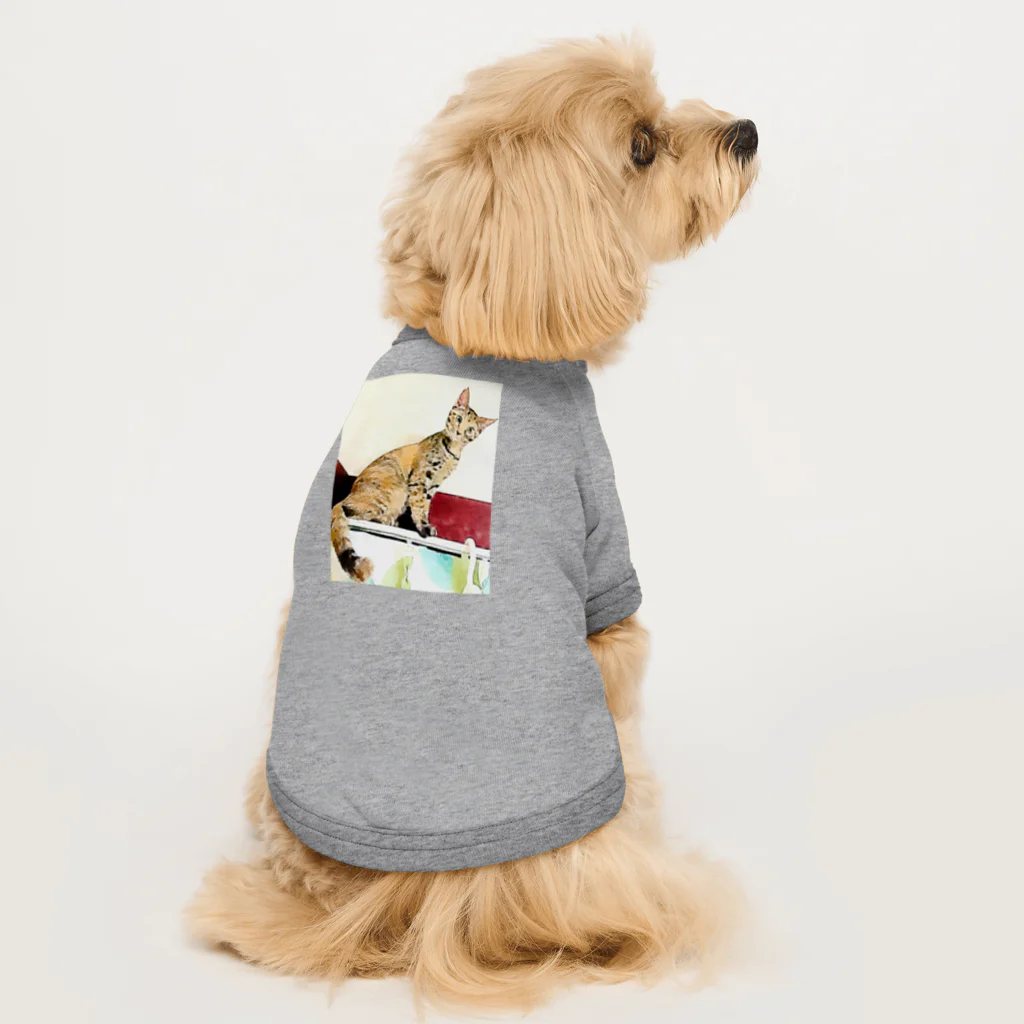 コハクのカーテンレールからニャンコ🐱 Dog T-shirt