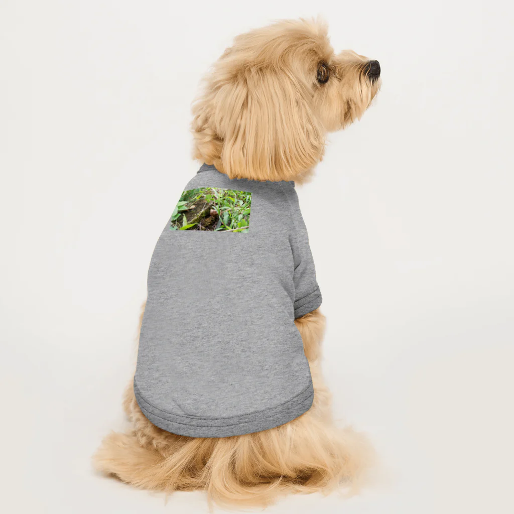 tizujonoboukenの自然豊か Dog T-shirt