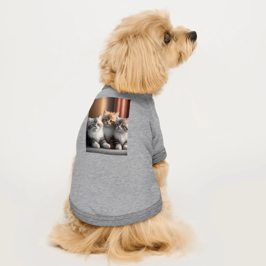 🐾風太🐾のねこ好きさんいかがですか？ Dog T-shirt
