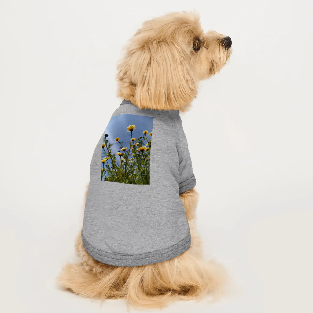 MMの黄色い春菊の花 Dog T-shirt