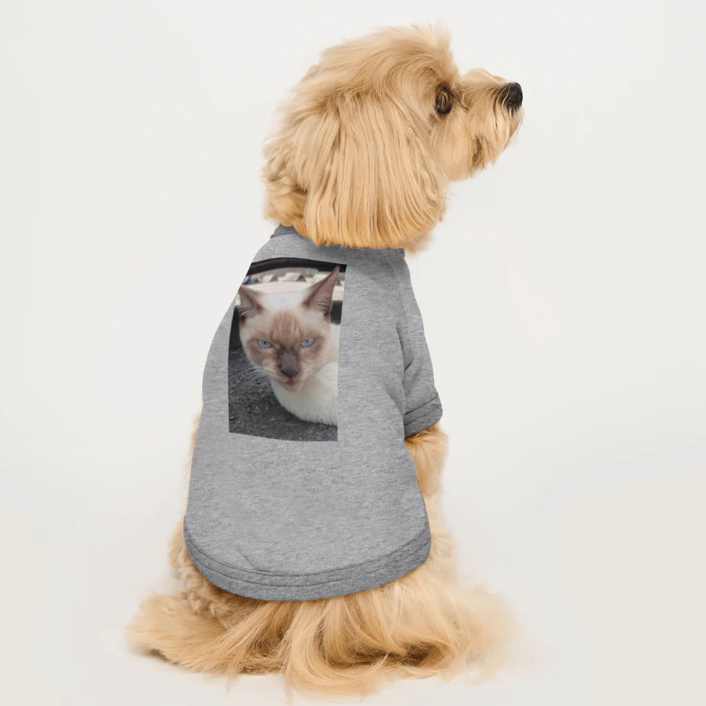 Makoto_Kawano Designの悪そうなのにカワイイ猫ちゃん Dog T-shirt