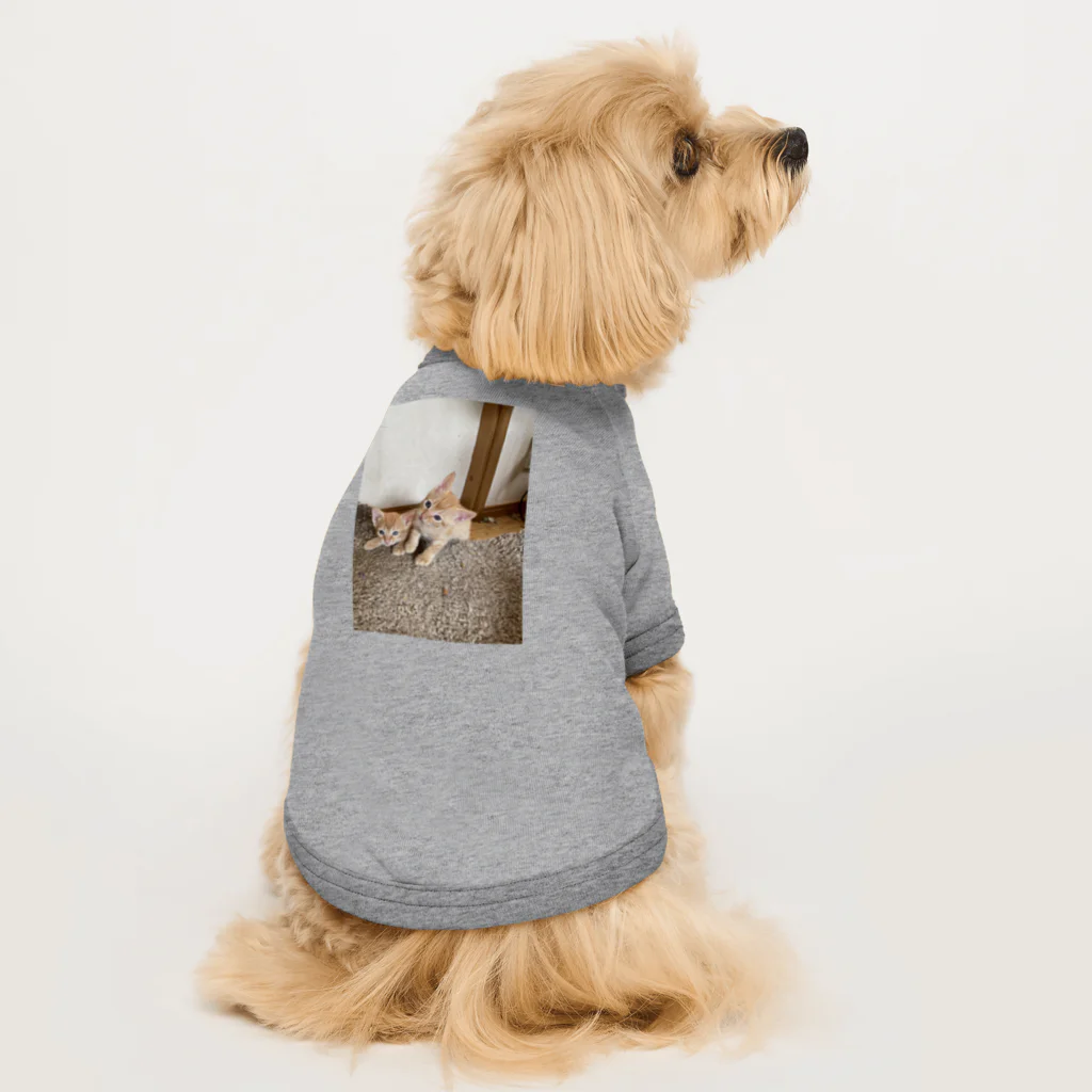 ANAROGUの可愛い猫 Dog T-shirt